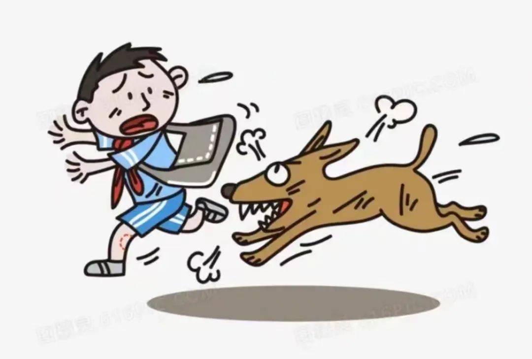 用法治“安全繩”防治惡犬傷人