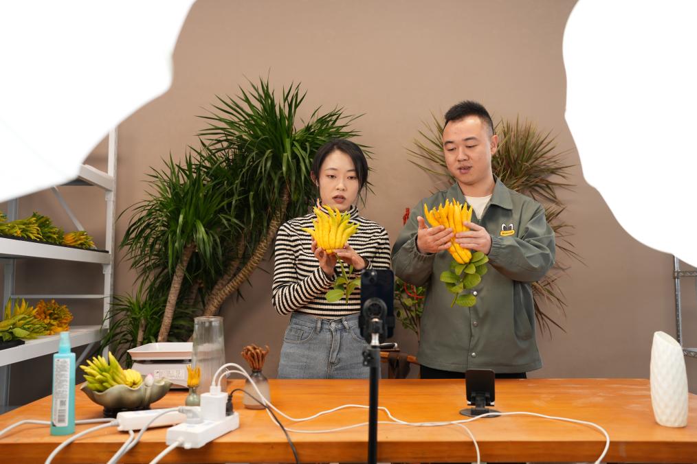 直播營(yíng)銷國(guó)際標(biāo)準(zhǔn)出臺(tái)，將帶來(lái)哪些變化？