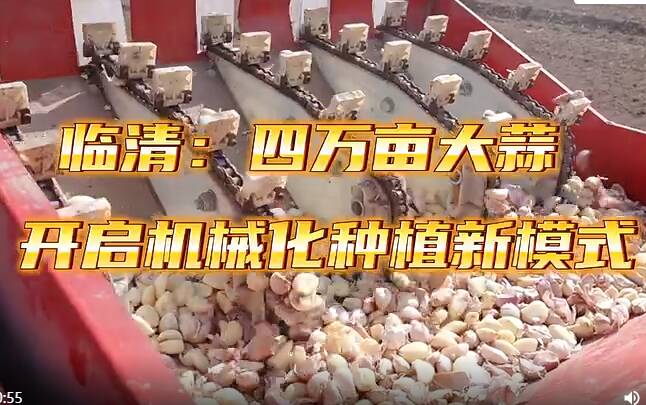聊城臨清市康莊鎮(zhèn)：四萬畝大蒜開啟機械化種植新模式