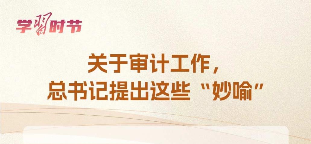 學(xué)習(xí)時節(jié)｜關(guān)于審計工作，總書記提出這些“妙喻”