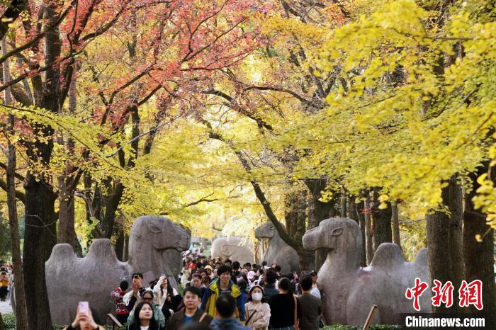 世界文化遺產(chǎn)南京明孝陵石象路色彩斑斕景如畫
