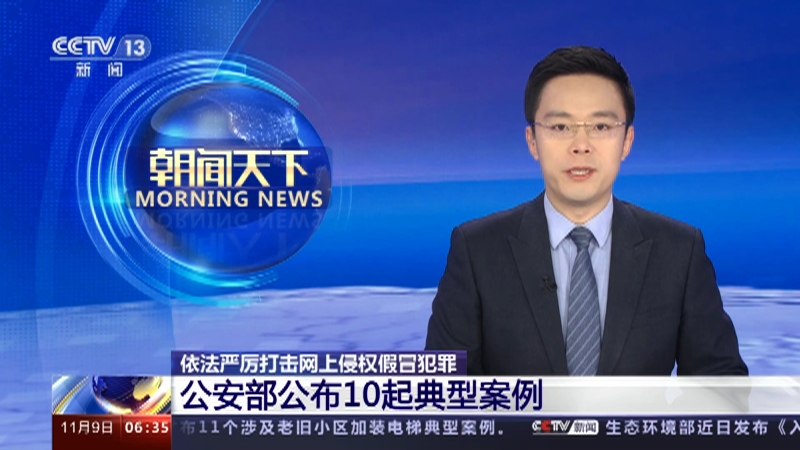 公安部公布依法嚴(yán)厲打擊網(wǎng)上侵權(quán)假冒犯罪10起典型案例