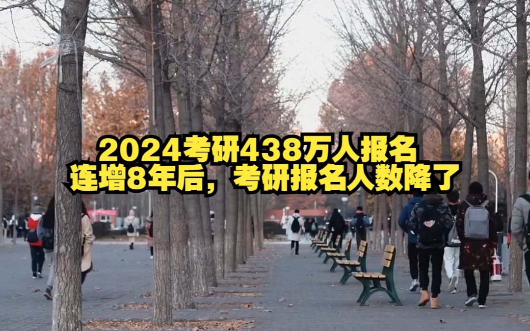 2024年考研報名人數(shù)遞增8年后首降，原因何在？