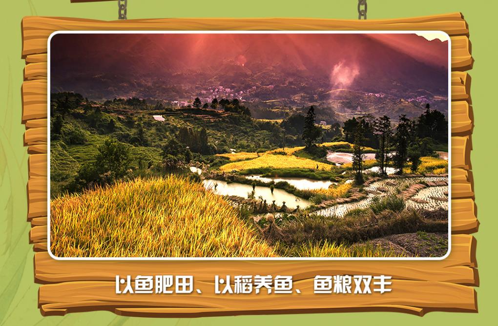 世界第一！這22項農(nóng)業(yè)文化遺產(chǎn)，為何吸引全球目光？