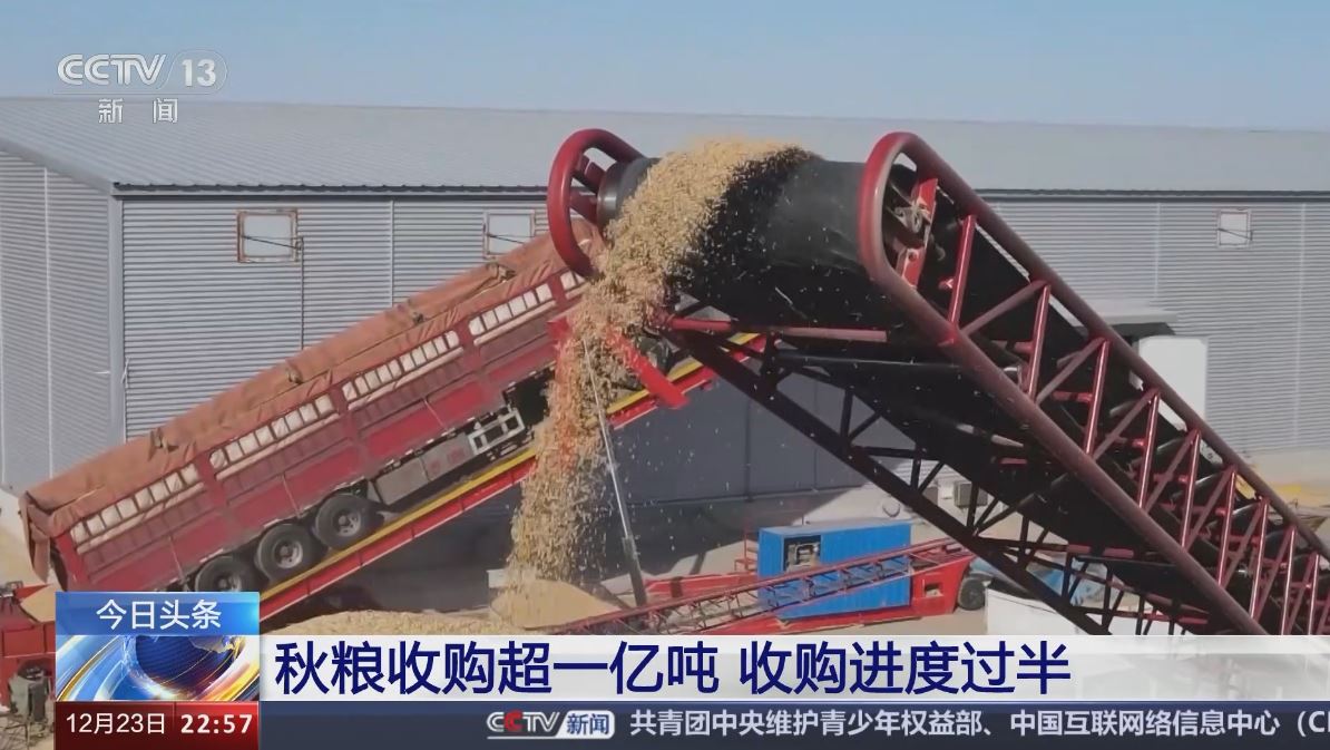 全國秋糧收購超一億噸 收購進度過半