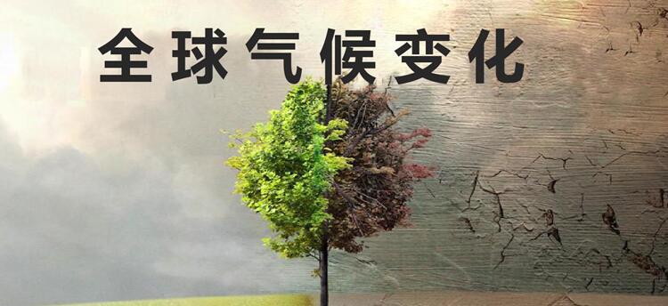 應(yīng)對氣候變化 教育要從娃娃抓起