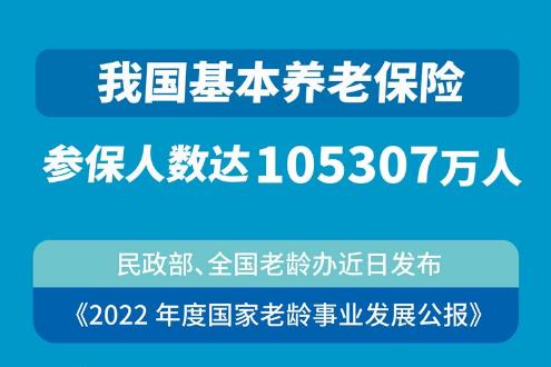 我國基本養(yǎng)老保險參保人數(shù)達(dá)105307萬人