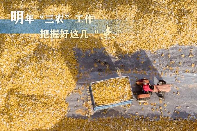 明年“三農(nóng)”工作，這幾個“點”要把握好