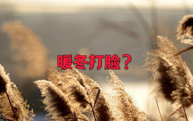 氣溫屢創(chuàng)新低，今年還是暖冬嗎
