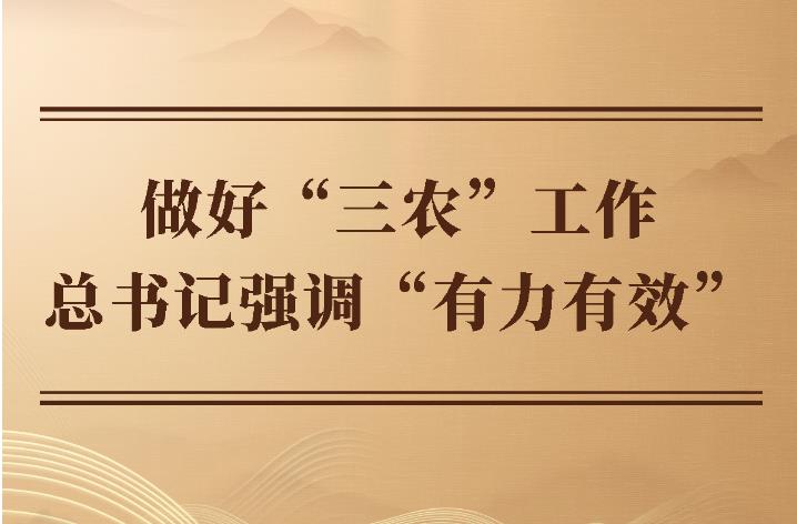 第一觀察｜做好“三農(nóng)”工作 總書記強(qiáng)調(diào)“有力有效”