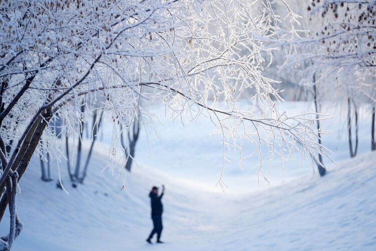 追光丨熱“雪”沸騰，這個冬天火的不只“爾濱”