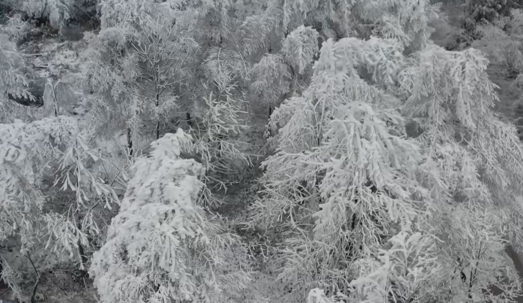 今年首場寒潮攜暴雪而至