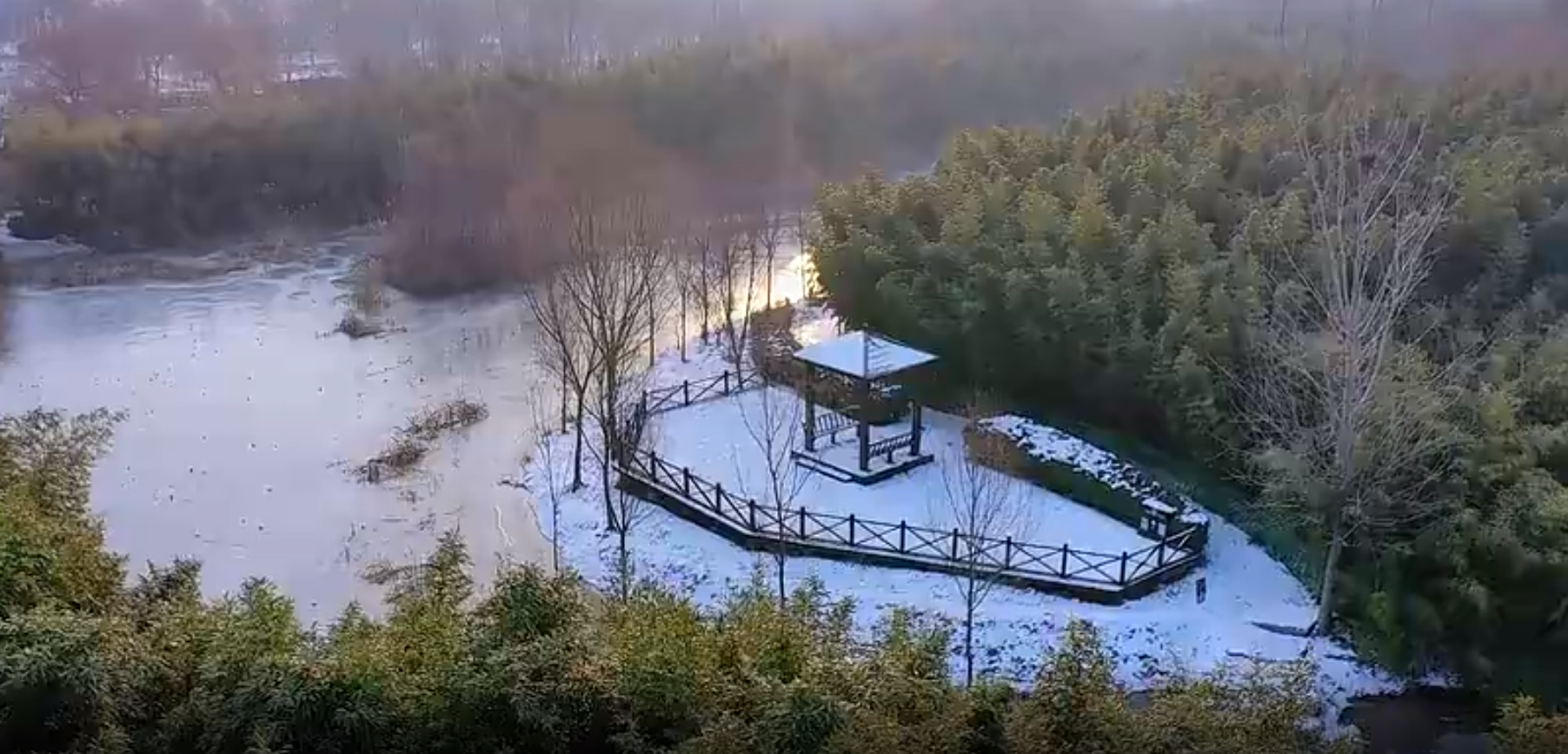 大美聊城：白雪點(diǎn)青綠