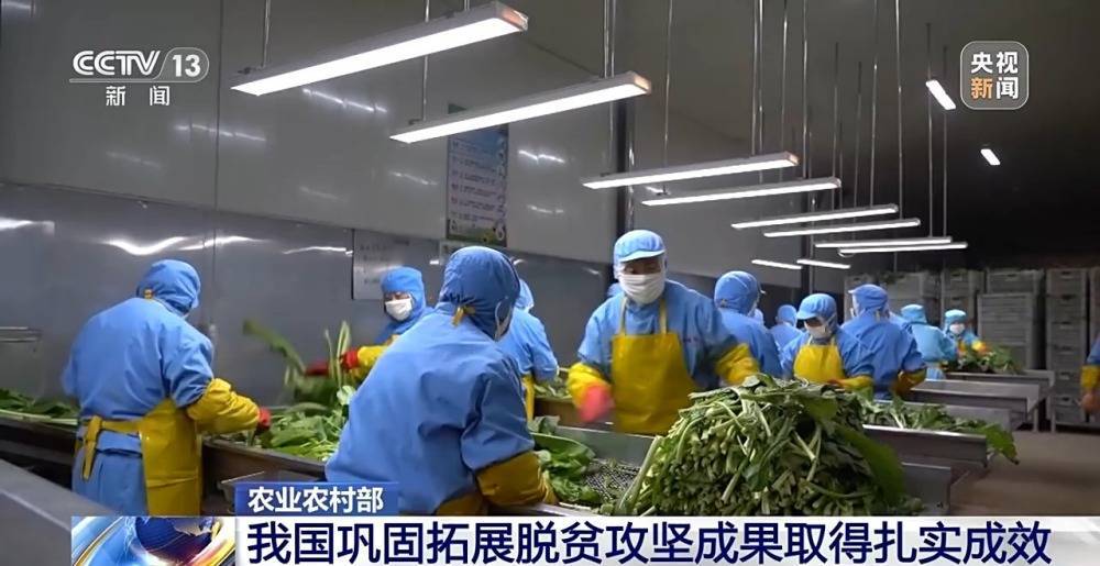 我國(guó)將加快建立常態(tài)化幫扶機(jī)制鞏固拓展脫貧攻堅(jiān)成果