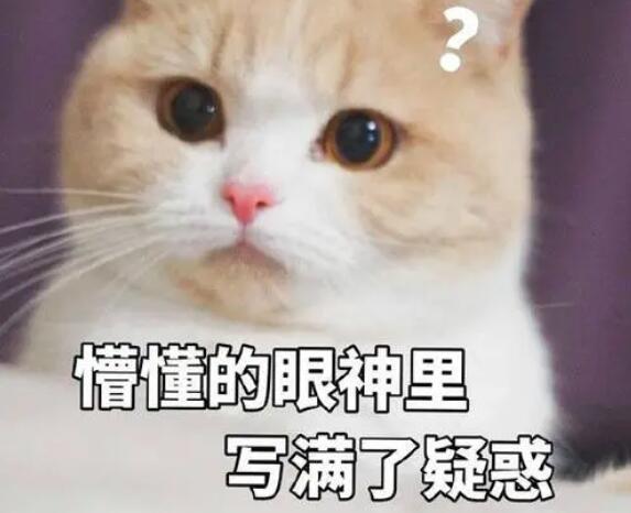 “資深HR”“過來人”輔導(dǎo)動輒幾千元上萬元 付費面試輔導(dǎo)服務(wù)真的靠譜嗎？