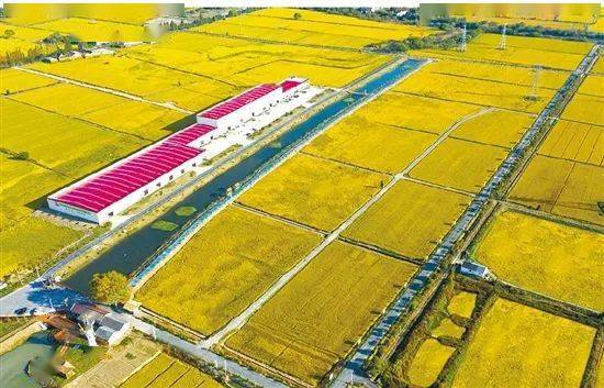全國耕地總量連續(xù)凈增長 國土空間格局持續(xù)優(yōu)化
