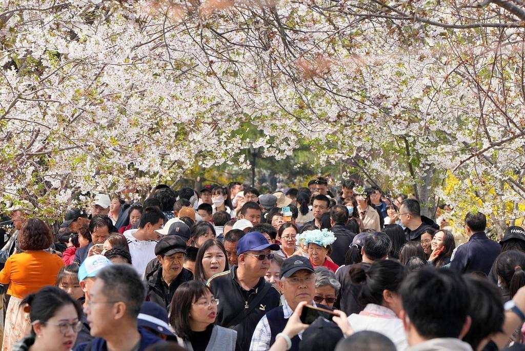 中國經(jīng)濟信心說丨一路“繁花”！文旅消費拉動經(jīng)濟“上春山”