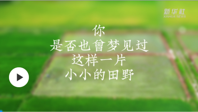 移軸鏡頭看一場(chǎng)超夢(mèng)幻的春耕