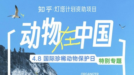 知乎上線動物保護(hù)日專題，“燈塔計劃”資助中國野生動物科普
