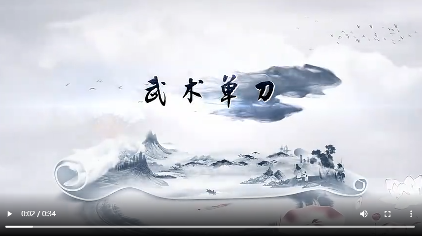 聊城市東昌府區(qū)：武術單刀