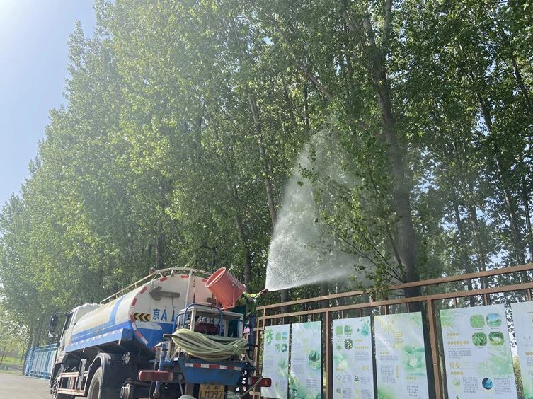 換成無絮楊柳行不行