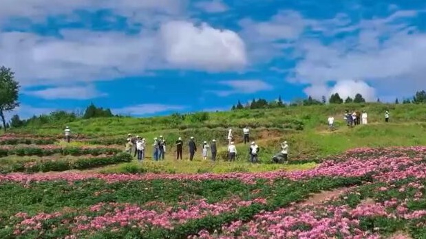 讓“網(wǎng)紅”變“長紅”、“流量”成“留量” 各地打造特色文旅IP喜迎出游熱潮