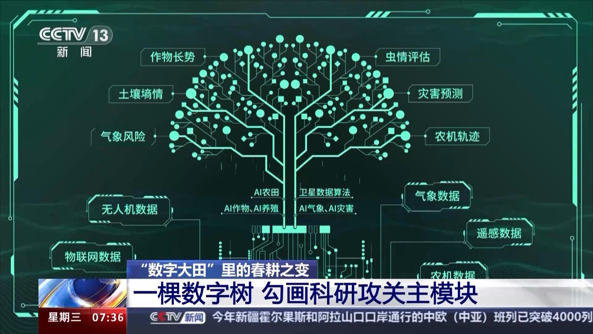 寫(xiě)字樓里農(nóng)事忙 “數(shù)字大田”用上了衛(wèi)星遙感技術(shù)