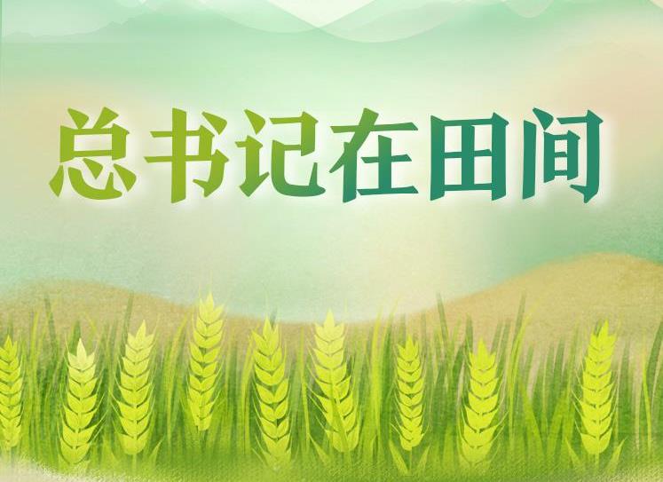 學(xué)習(xí)時節(jié)｜總書記在田間