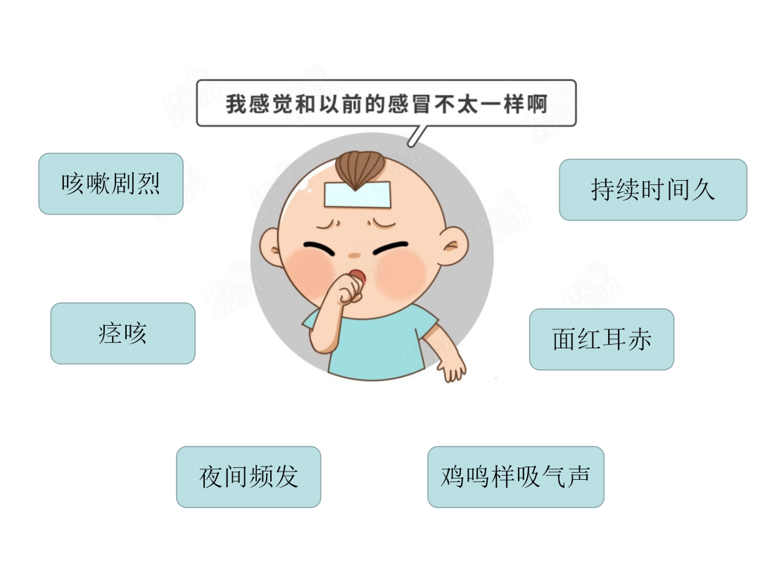 【微科普】“肺”常時(shí)期，“咳”不容緩