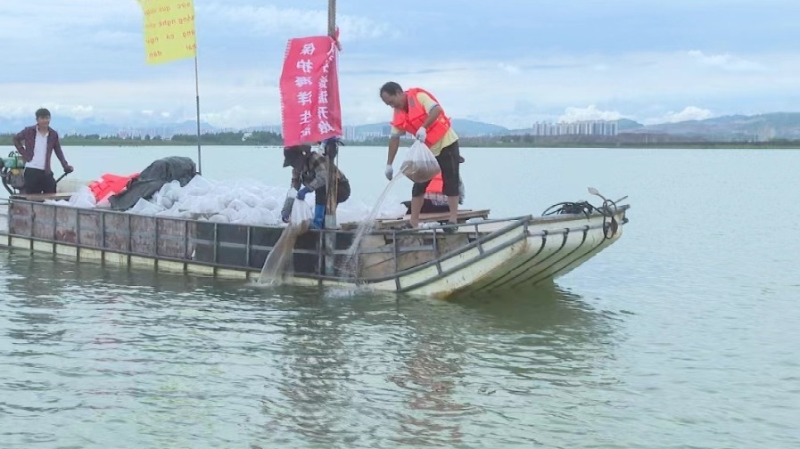 創(chuàng)歷次之最！中越聯(lián)合放流1.28億尾水生生物