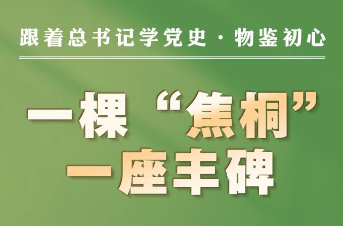 跟著總書(shū)記學(xué)黨史·物鑒初心|一棵“焦桐” 一座豐碑