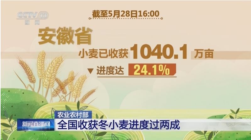 農(nóng)業(yè)農(nóng)村部：全國收獲冬小麥進度過兩成