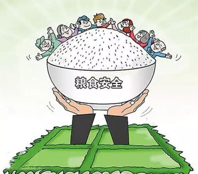 三大糧食作物完全成本保險(xiǎn)和種植收入保險(xiǎn)政策覆蓋全國(guó)