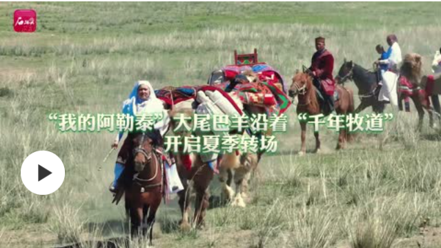 航拍新疆 | “我的阿勒泰”大尾巴羊沿著“千年牧道”開啟夏季轉(zhuǎn)場(chǎng)