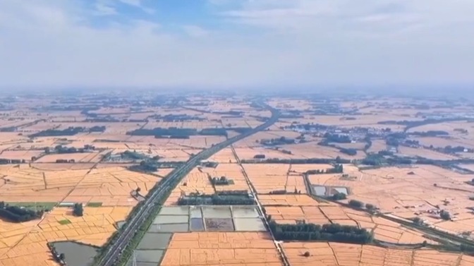 千行百業(yè)“攥指成拳”合力致遠(yuǎn) 鋪展人民美好生活亮麗畫卷