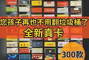 月薪動(dòng)輒上萬元的陪伴師能緩解育兒焦慮嗎