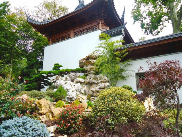青春匠心傳播中國文化 這些年輕人在海外建起中式園林