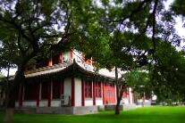 游客打開“大學(xué)”的正確方式是什么？