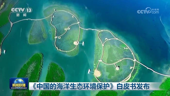 《中國的海洋生態(tài)環(huán)境保護》白皮書發(fā)布 力爭2035年全國283個海灣“各美其美”