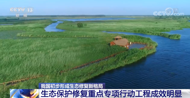 我國國家公園建設取得重要成果 生態(tài)保護成效明顯