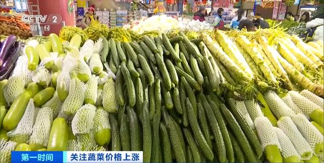家常菜價(jià)格“不家?！?？黃瓜批發(fā)價(jià)漲超40%！還會(huì)再漲嗎？