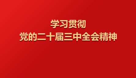 加強黨建引領基層治理（權威訪談·學習貫徹黨的二十屆三中全會精神）