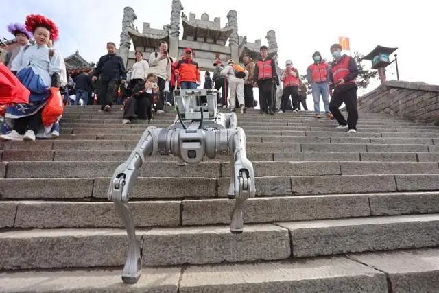 機器狗預備上崗 機器人時代要擔心崗位被替代嗎？