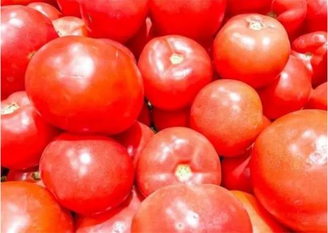 番茄漲至近8元一斤！高溫致蔬菜減產(chǎn) 價格何時回落？