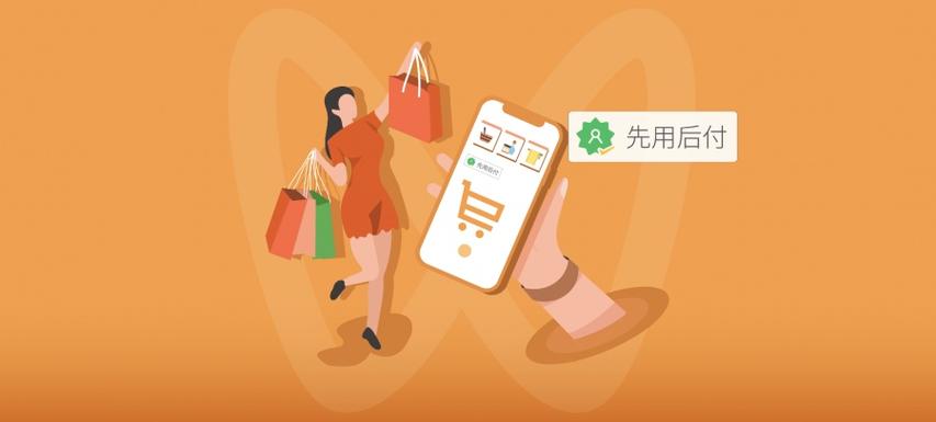 “雙11”0元下單先別急，選擇“先用后付”需注意這些問題