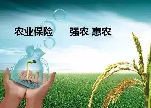 四部門發(fā)文推進農(nóng)業(yè)保險精準投保理賠
