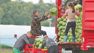 糧食產(chǎn)量首次突破1.4萬億斤，農(nóng)業(yè)科技進(jìn)步貢獻(xiàn)率超過63%繼續(xù)拓寬農(nóng)民增收致富渠道