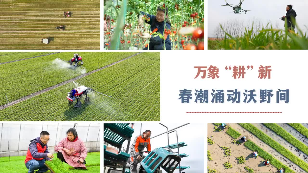 萬象“耕”新 春潮涌動沃野間