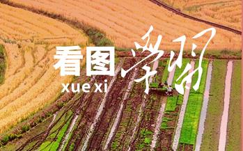 學習知行·中國式現(xiàn)代化丨“糧”安中國