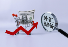 1月末我國外匯儲備規(guī)模32090億美元